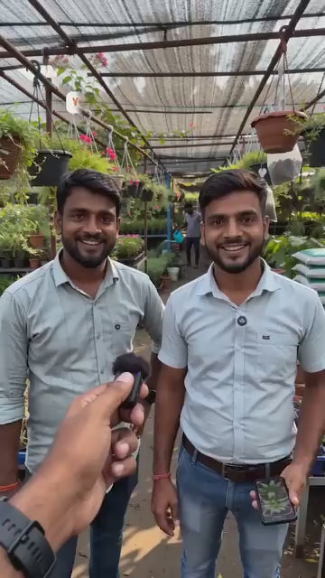 Plant Protection Spray - Buy 1 Get 2 Free